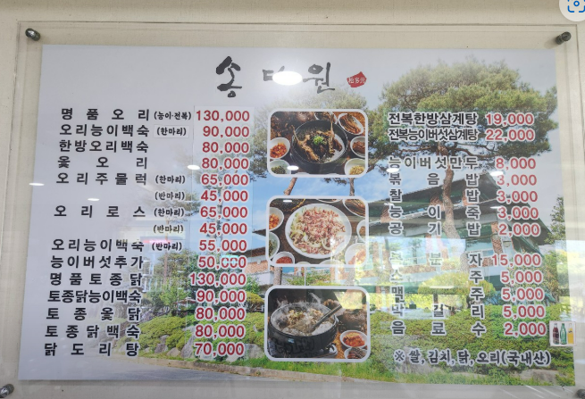 송다원 이미지