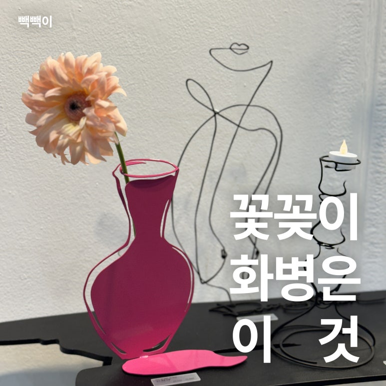 더닷 이미지