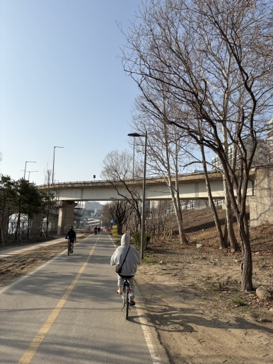 타코야오 이미지