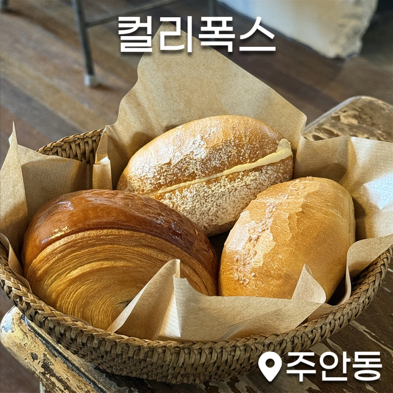 컬리폭스 이미지