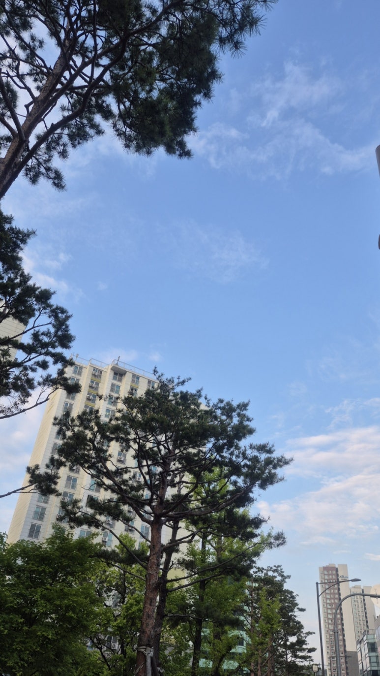 별내왕곱창마을 이미지