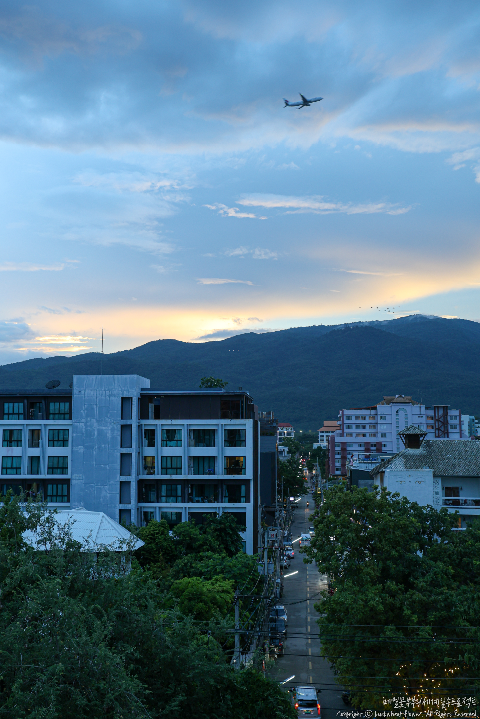 마야세탁소 이미지