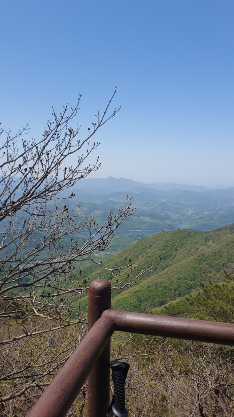 대추나무집 이미지