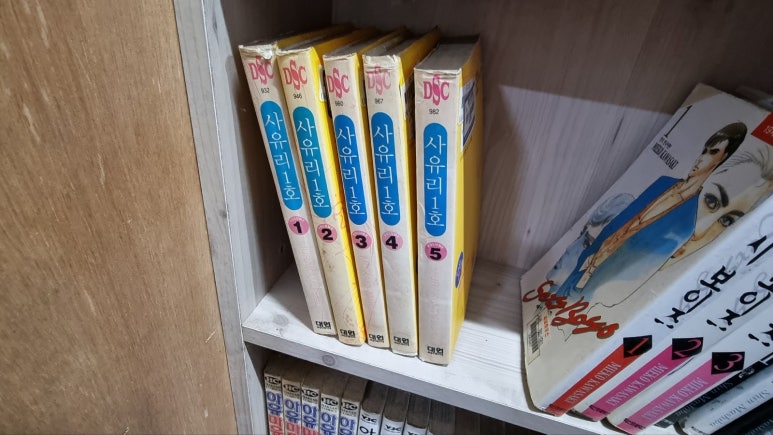 돌쇠도서 이미지