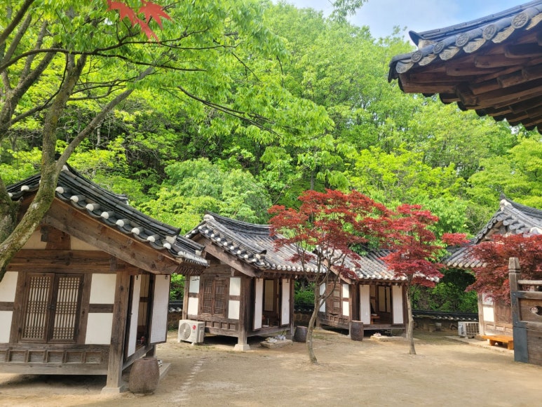 남한산성토종닭 이미지