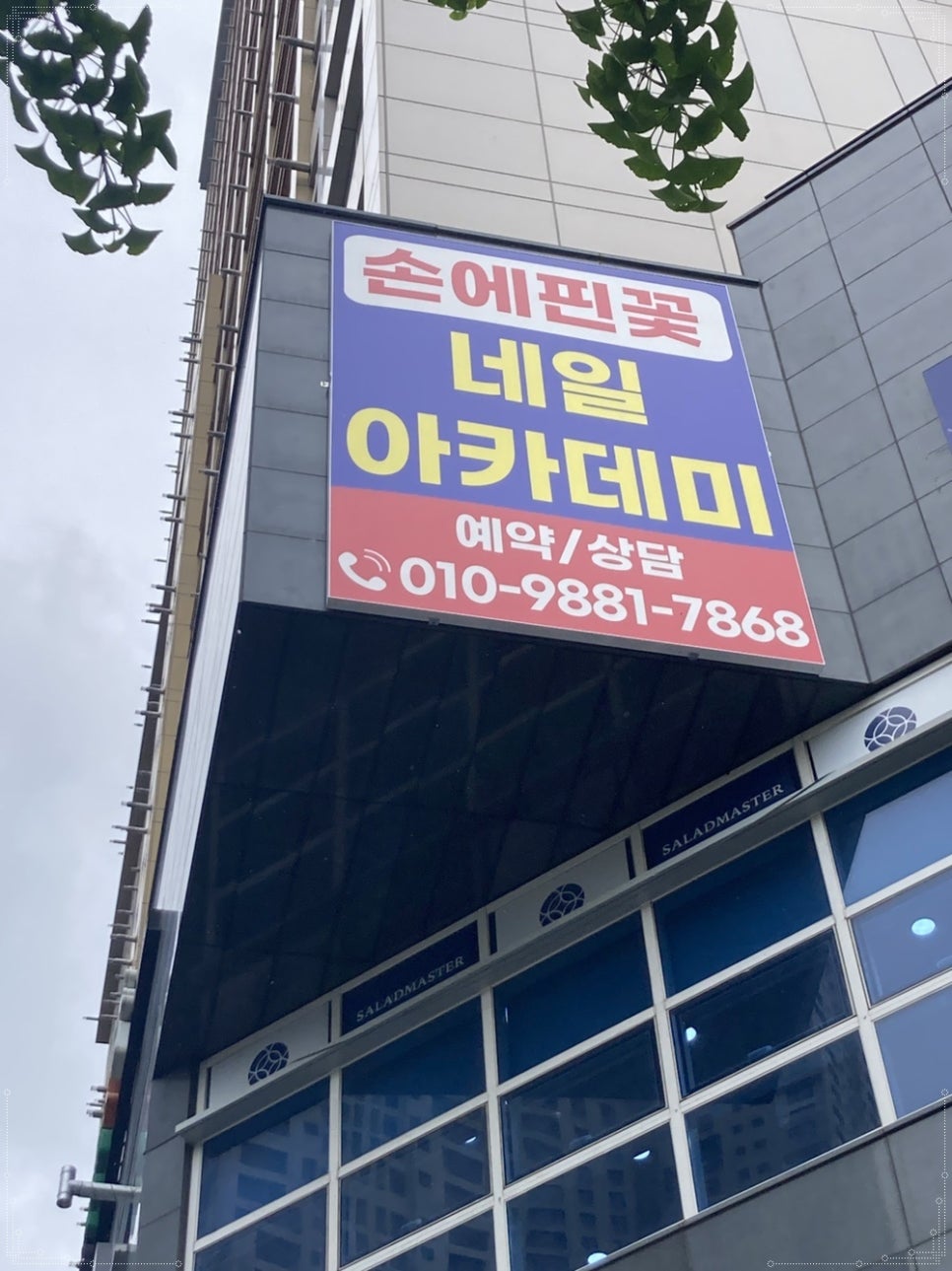 손에핀꽃 이미지