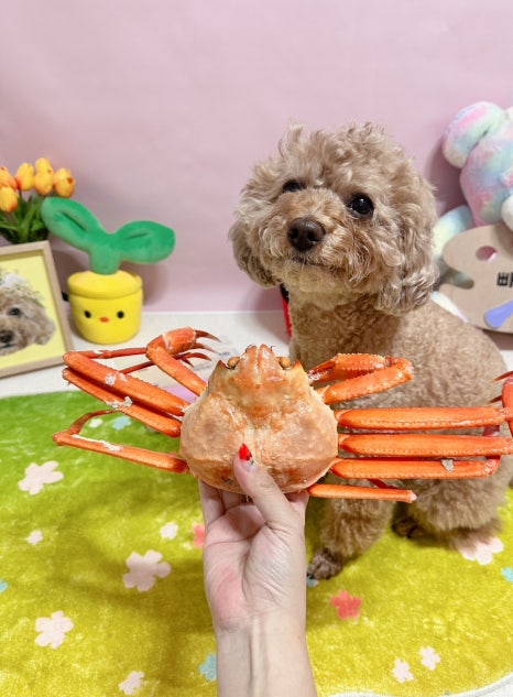 바리바리수산 이미지