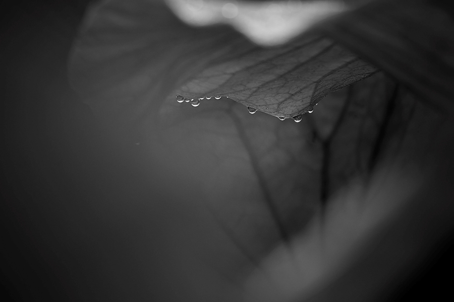 갤러리051 이미지