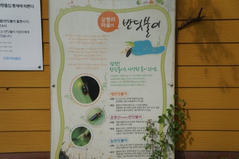 송남주유소 이미지