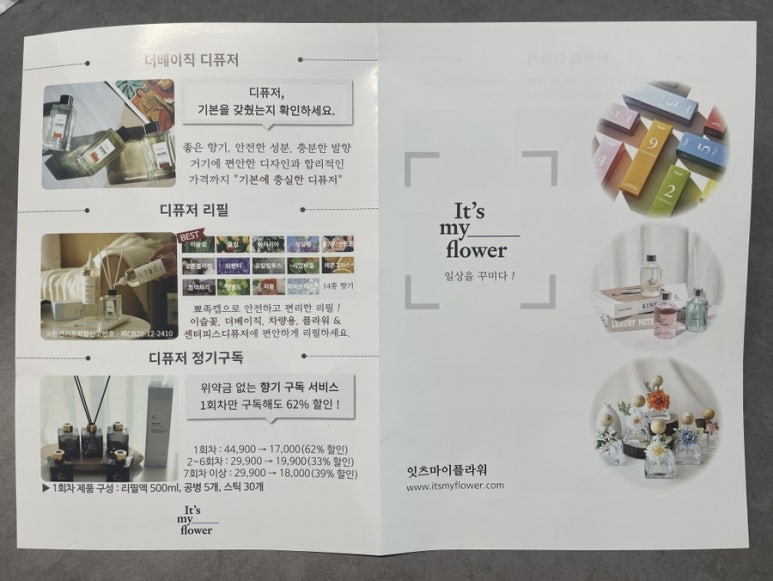 마이레몬그라스 이미지