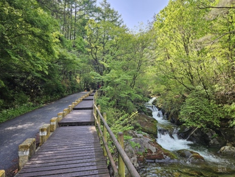 소백산국립공원 천동탐방안내소 이미지