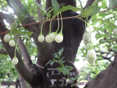 석목화랑 이미지