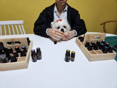 유미찌 이미지