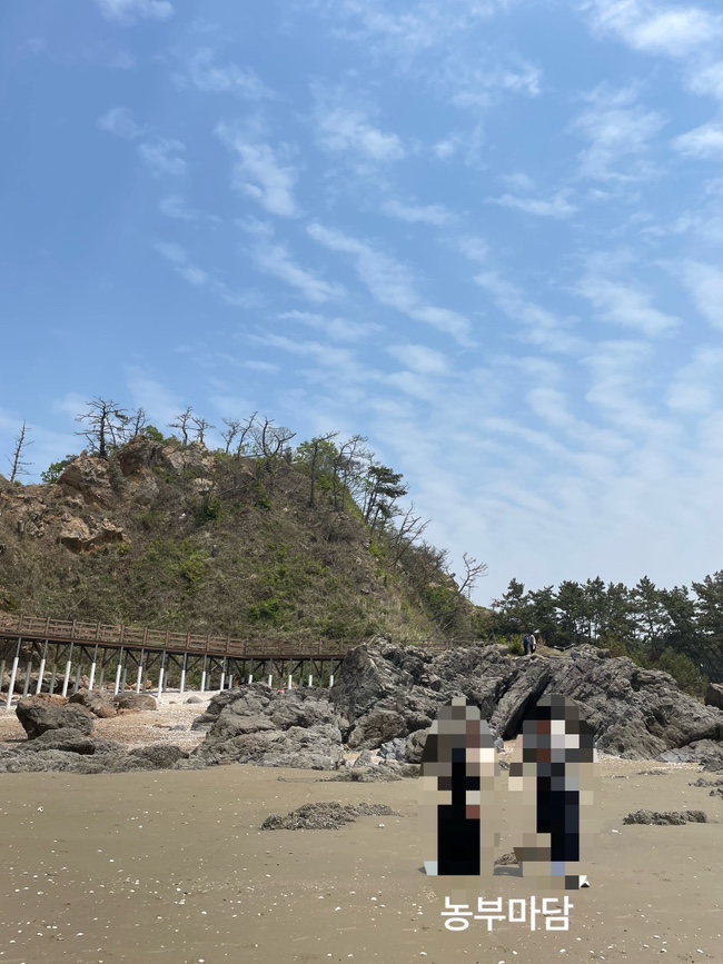 삼봉카 이미지