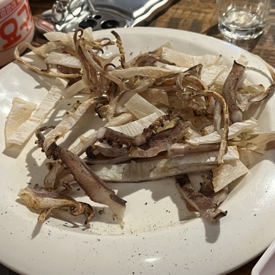 별밤호프 이미지