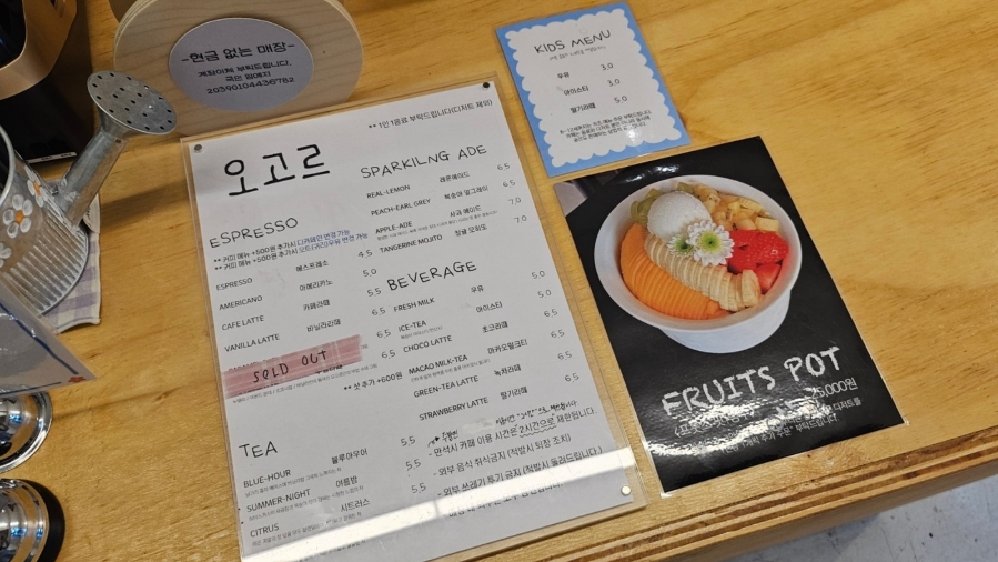 오고르 이미지