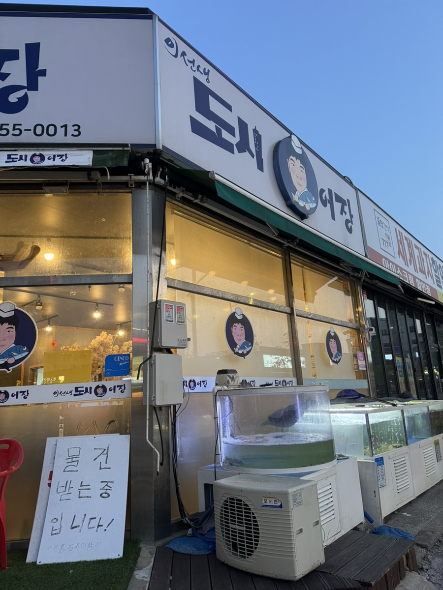 이선생도시어장 이미지