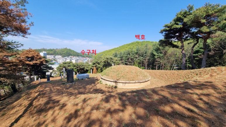 백호상사 이미지