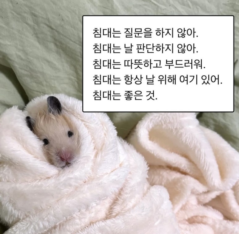 리안가구 이미지