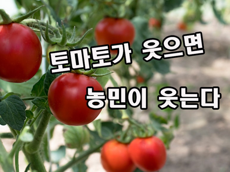 에이비씨써클 이미지
