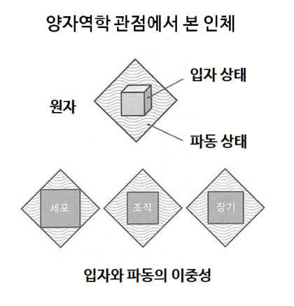 동양에너지 이미지