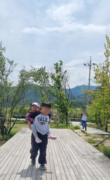 펠리체플러스 이미지