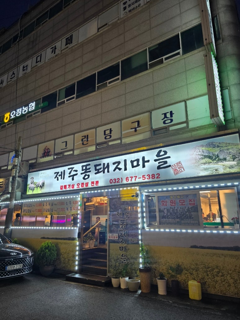 제주똥돼지마을 이미지