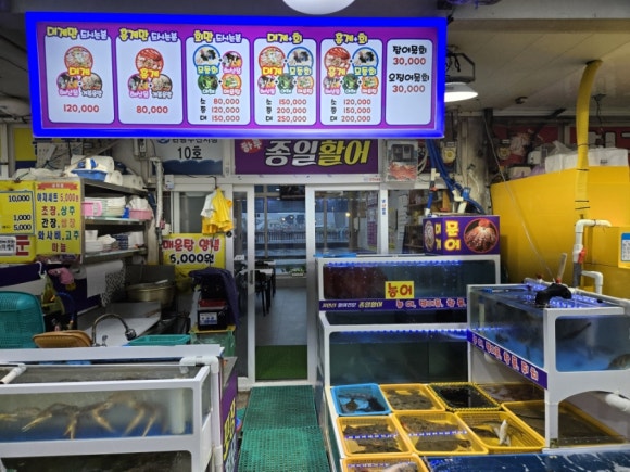 종일활어 이미지