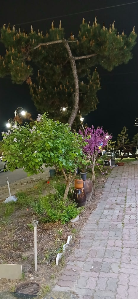 대천치킨 이미지