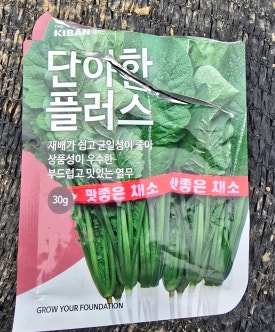 너른뜰 이미지