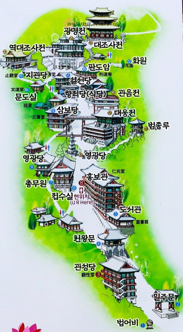 구강사유치원 이미지