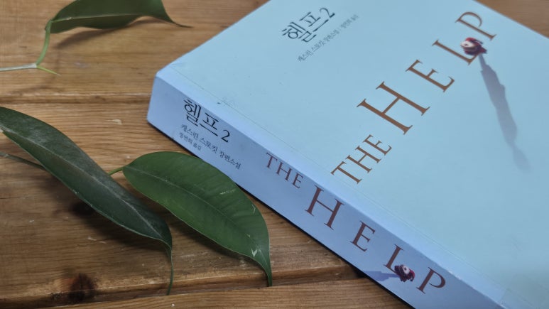 메이;율 이미지