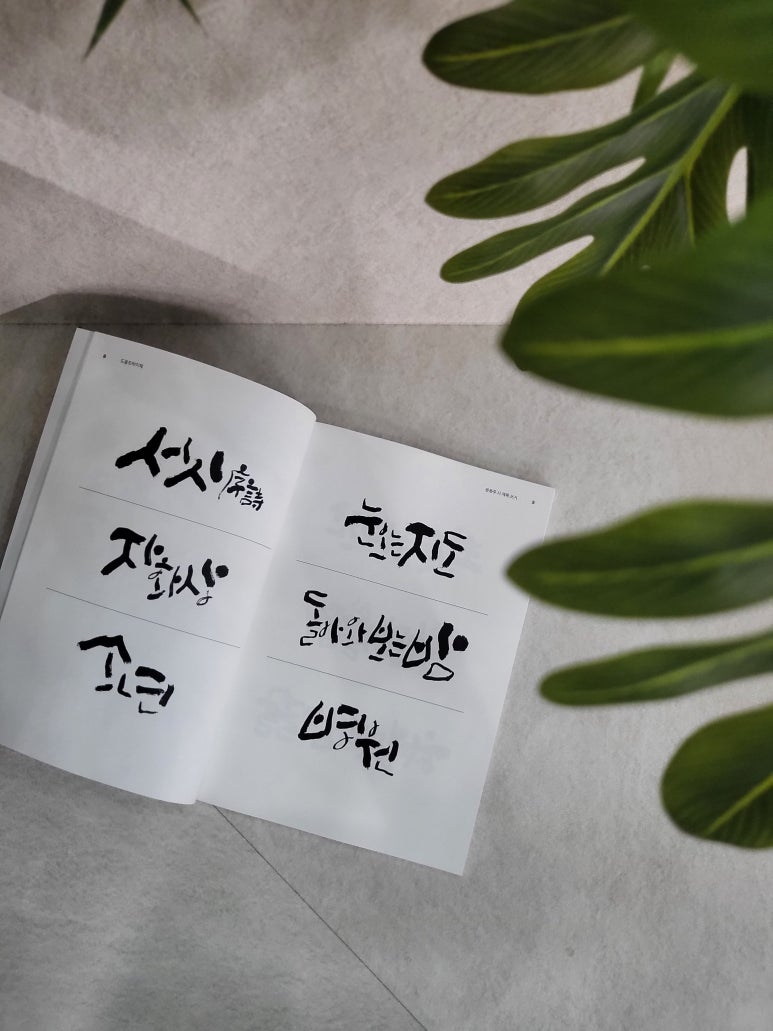 또박이 이미지