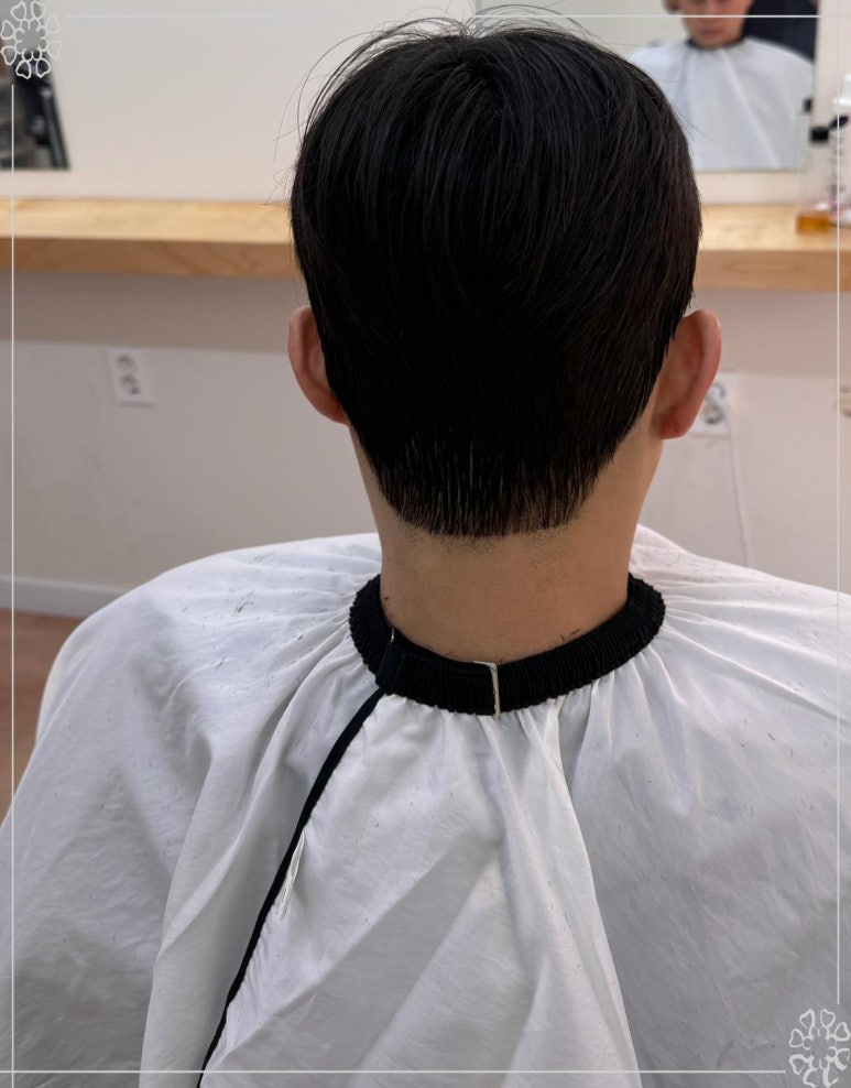 살롱 수 이미지