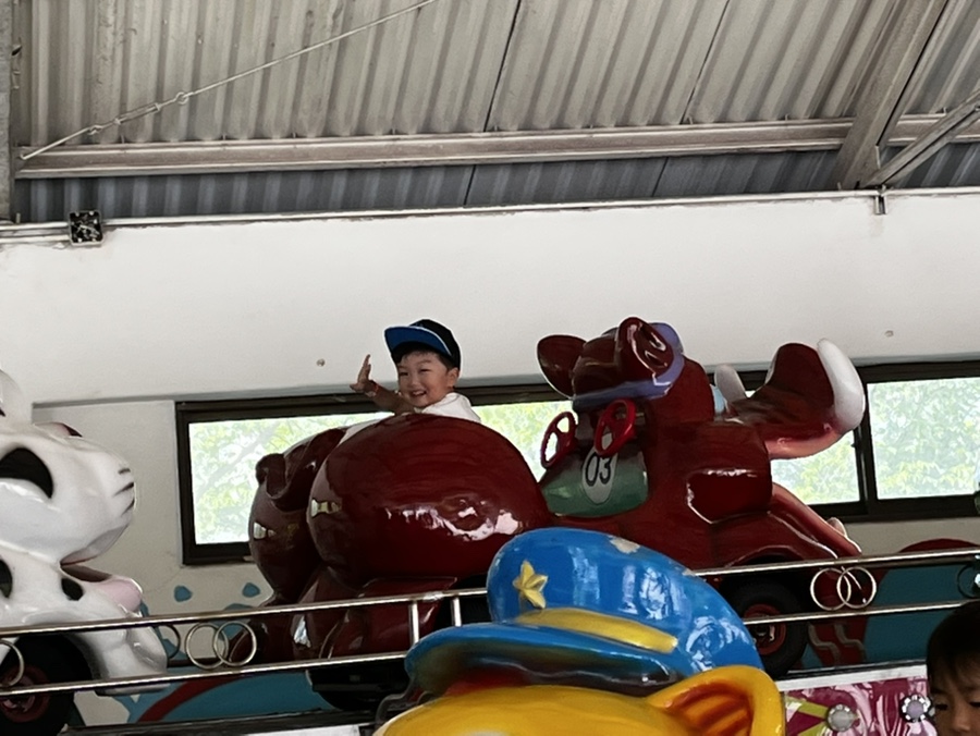 차차네 이미지