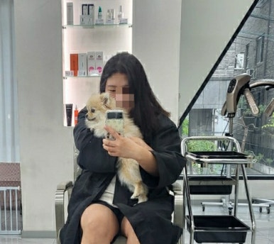 투디아 이미지
