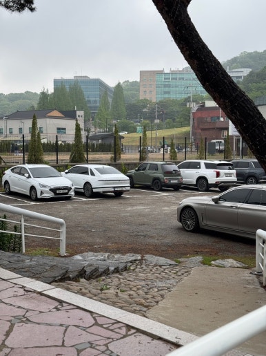 카페토브, 연꽃샤브 이미지