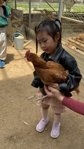 아빠사랑팜체험 이미지