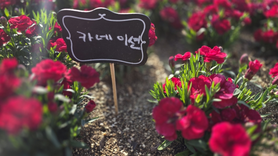 은혜와섬김 이미지