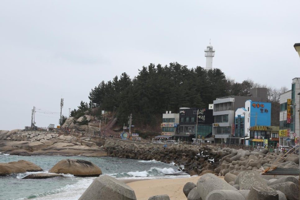 라또래요 이미지