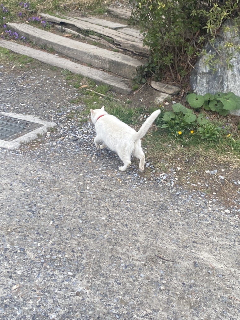 삼년산성송어장 이미지