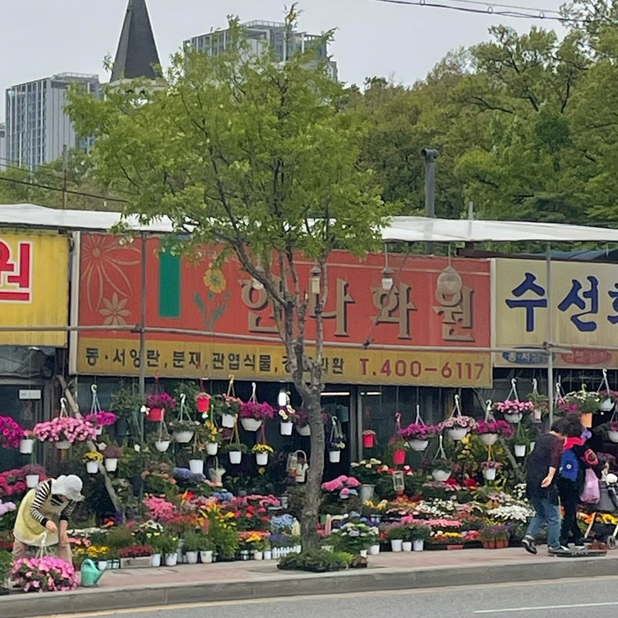 한나화원 이미지
