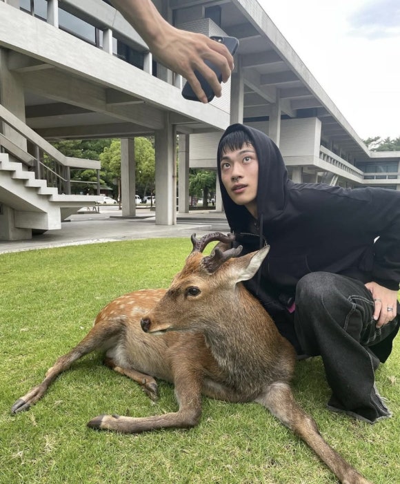 청록 이미지