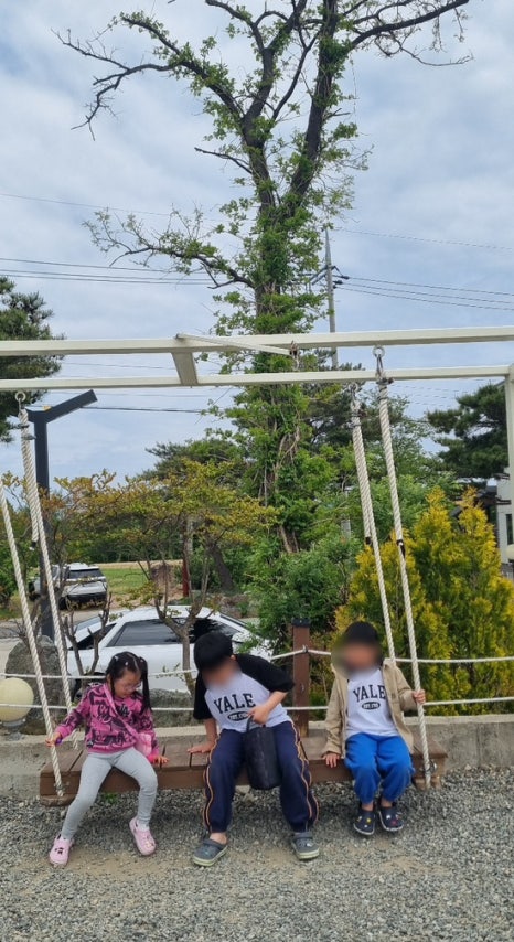 펠리체플러스 이미지
