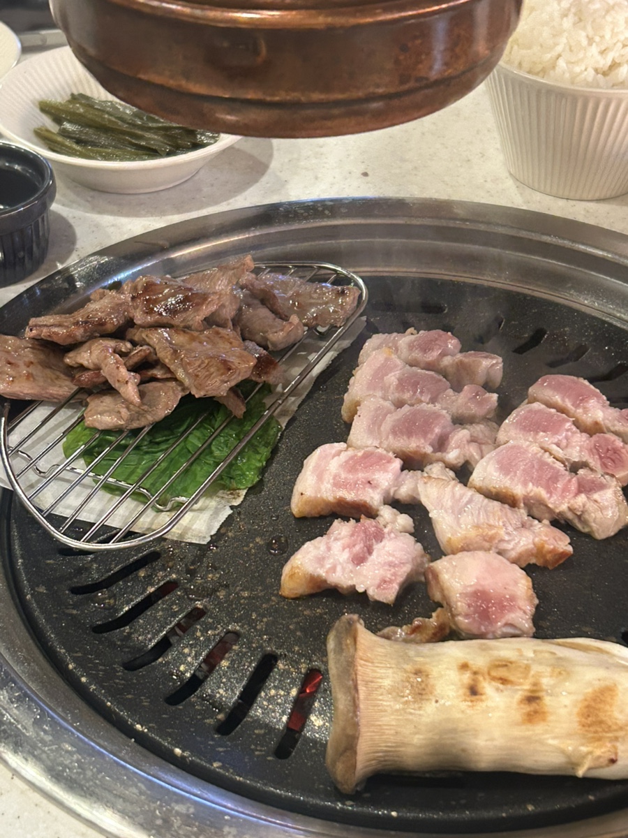 다솔에가다 이미지
