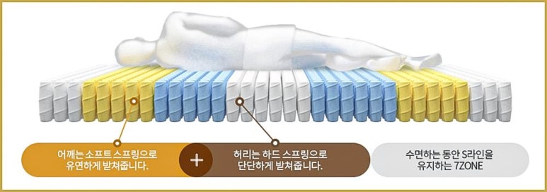 에버그린존 이미지