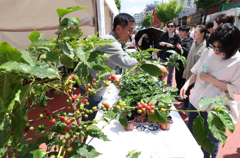 진커피숲 이미지