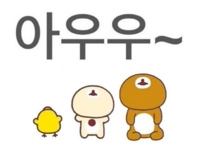 디피넛 이미지