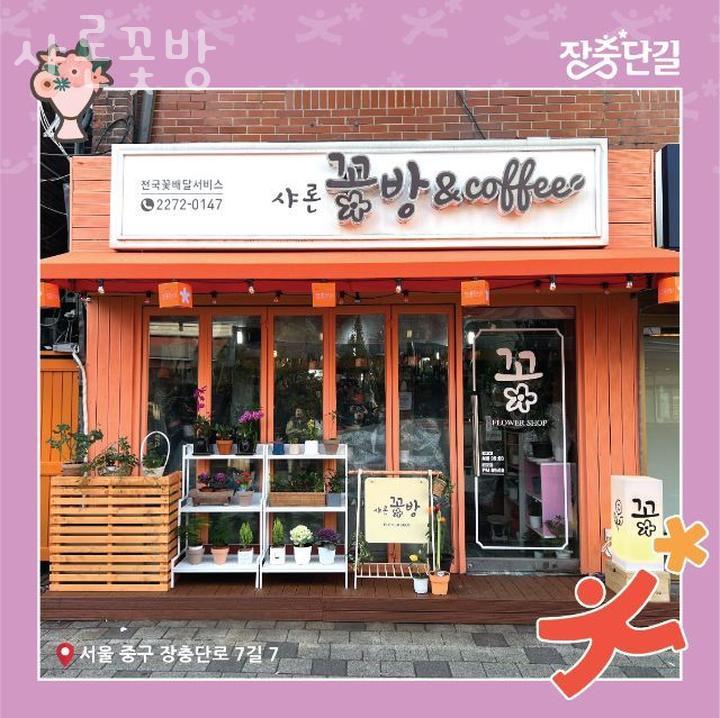 샤론 이미지