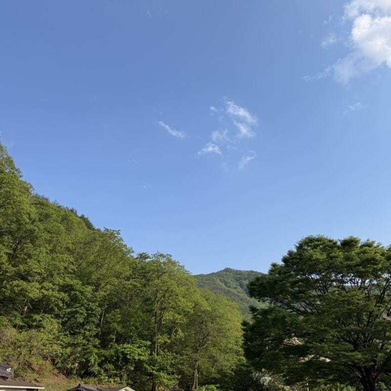 반야몰 이미지